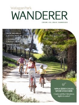 Wanderer Summer Website Thumbnail