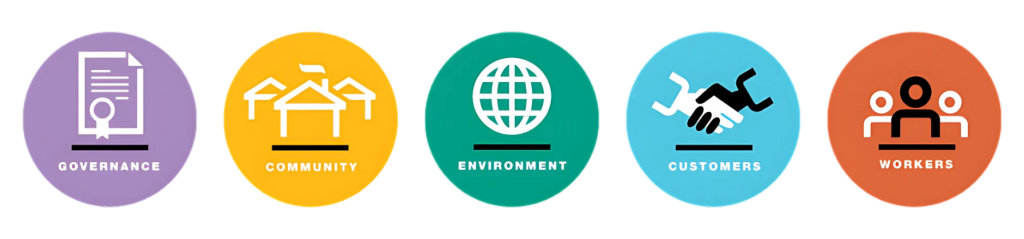 Bcorp imapct areas e1749001673253