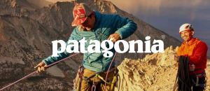 Impact Business Models: The Blueprint for Purpose-Led Business 3 Patagonia