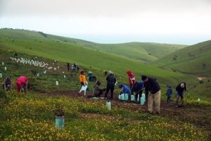 Bank Australia- Conscious Brand, b corp, purpose, business for good